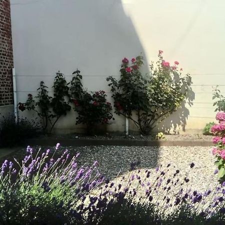 Appartement Calme A 300 M De La Plage-Centre Ville - Quiet Appartment 300 M Near City And Beach メール・レ・バン エクステリア 写真
