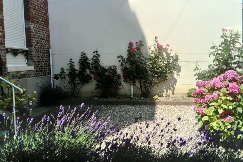 Appartement Calme A 300 M De La Plage-Centre Ville - Quiet Appartment 300 M Near City And Beach メール・レ・バン エクステリア 写真